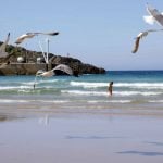 Playa de las Cámaras