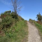 Mirador de la boriza