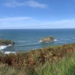 Mirador de la boriza